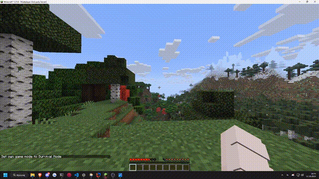 feed.gif